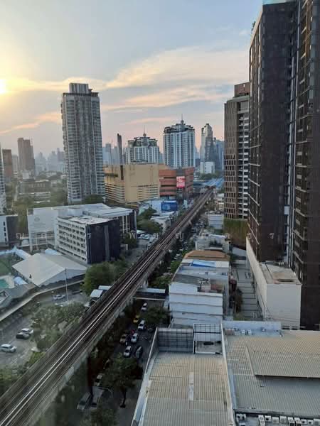 Life @ Sukhumvit 65 : ไลฟ์ แอท สุขุมวิท 65, กรุงเทพ, ถนนสุขุมวิท แขวงพระโขนงเหนือ เขตวัฒนา กรุงเทพมหานคร, พระโขนงเหนือ, วัฒนา, กรุงเทพ, 55 ตร.ม., คอนโด ให้เช่า, โดย ณภัทร พิชญภัคธรา, 11663586 - DDproperty.com