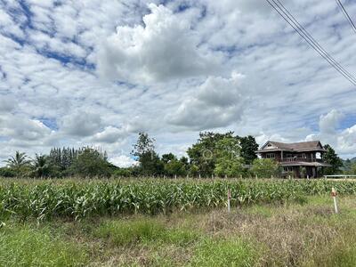 ขาย - ที่ปากช่อง นครราชสีมา ใกล้โอโซน Movenpick, นครราชสีมา