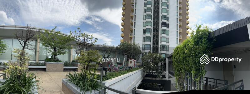 ขาย - M Society : เอ็ม โซไซตี้, นนทบุรี