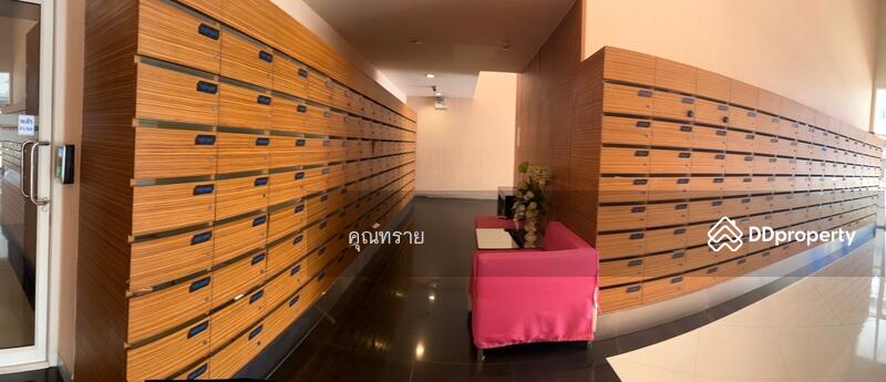 ขาย - M Society : เอ็ม โซไซตี้, นนทบุรี