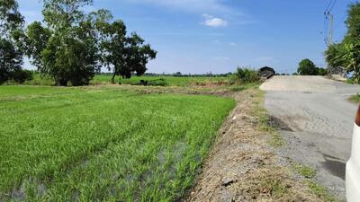 ขาย - ที่ดินหนองจอก กระทุ่มราย 12-1-6ไร่ ถนนสุวินทวงศ์ ซอย110 ใก้ลรร.ผลลีรุ่งเรือง ขายด่วนไร่ละ980,000 บาท, กรุงเทพ