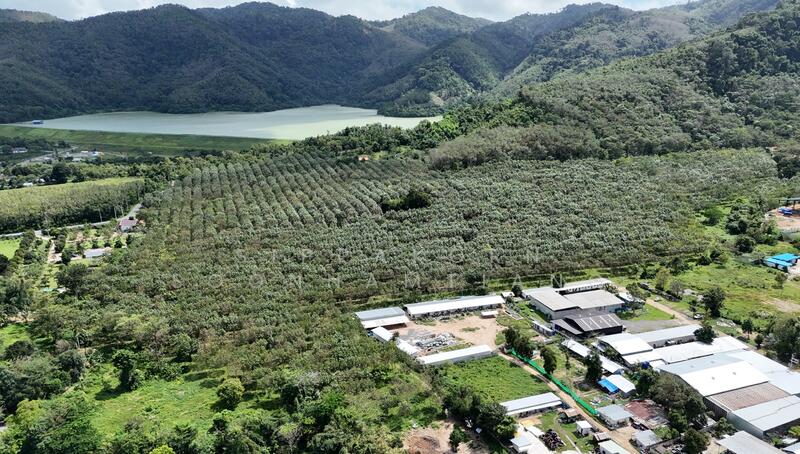 For Sale - Land near a big lake 140 Rai Srisunthon Phuket, Phuket