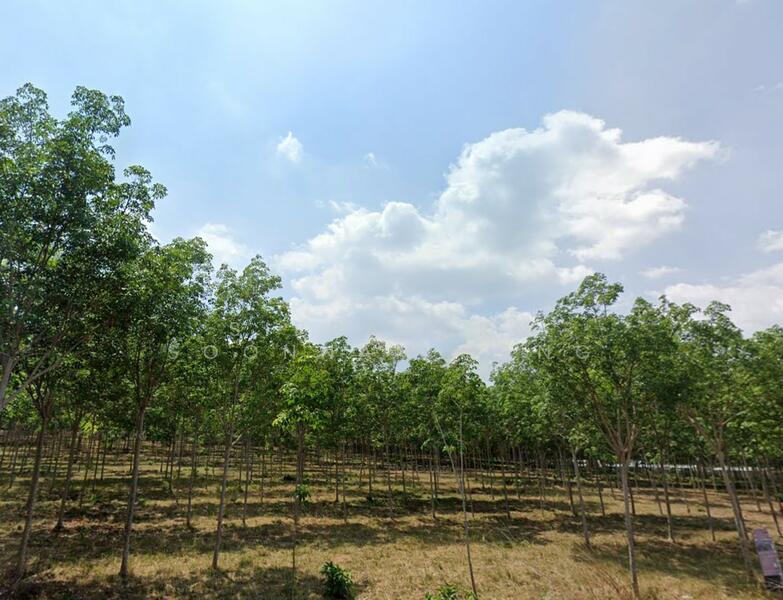 For Sale - Land near a big lake 140 Rai Srisunthon Phuket, Phuket