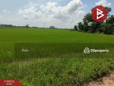 ขาย - ที่ดินพรานกระต่าย กำแพงเพชร, กำแพงเพชร