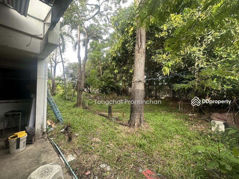 ให้เช่า - สแตนด์อะโลนให้เช่า แบริ่ง: standalone for rent baering, สมุทรปราการ
