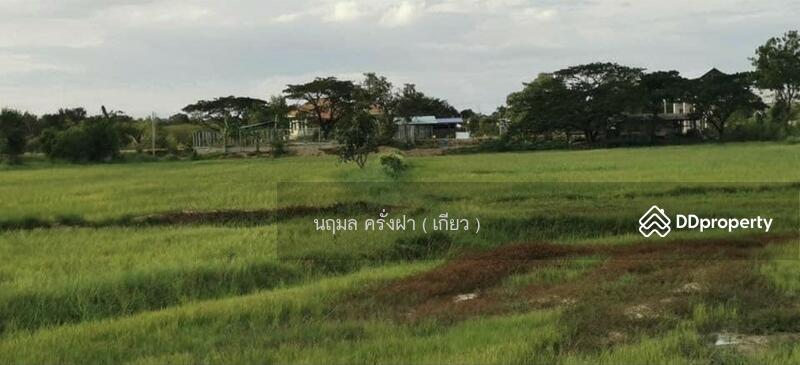 ขาย - ขายที่ดินสวยมาก พื้นที่ 9 ไร่ อยู่เขตเทศบาล อ.โนนสูง จ.นครราชสีมา, นครราชสีมา