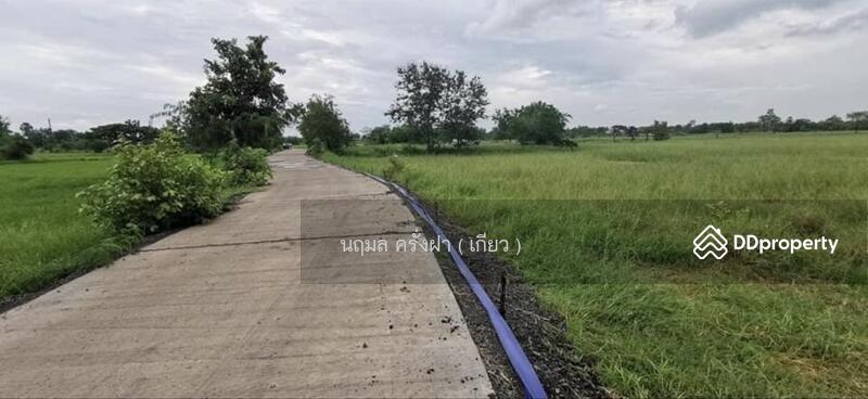 ขาย - ขายที่ดินสวยมาก พื้นที่ 9 ไร่ อยู่เขตเทศบาล อ.โนนสูง จ.นครราชสีมา, นครราชสีมา