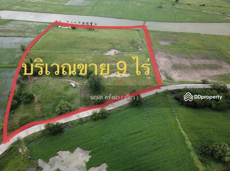 ขาย - ขายที่ดินสวยมาก พื้นที่ 9 ไร่ อยู่เขตเทศบาล อ.โนนสูง จ.นครราชสีมา, นครราชสีมา