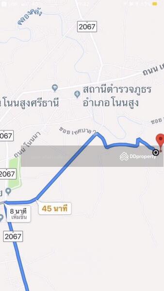 ขาย - ขายที่ดินสวยมาก พื้นที่ 9 ไร่ อยู่เขตเทศบาล อ.โนนสูง จ.นครราชสีมา, นครราชสีมา