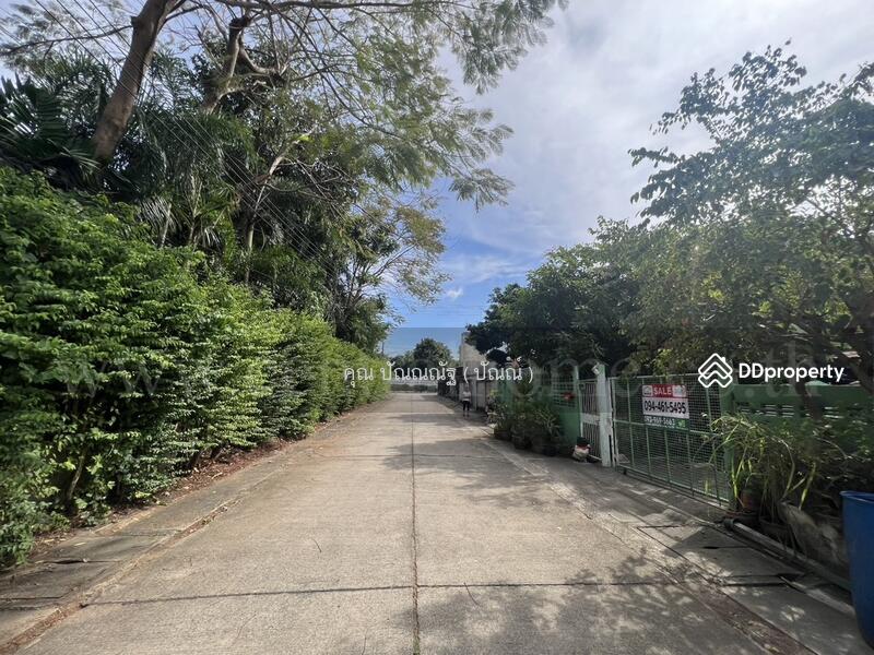 ขาย - บ้านเดี่ยว ซอยลำลูกกา 19 คลองสอง, ปทุมธานี