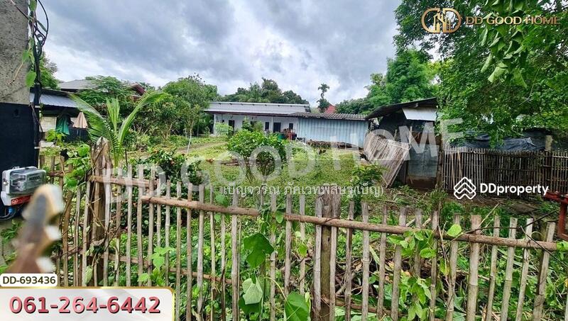 ขาย - ที่ดินปาย 300 ตร.ว. แม่ฮ่องสอน ใกล้ ใกล้สนามบิน อ.ปาย, แม่ฮ่องสอน
