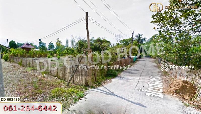 ขาย - ที่ดินปาย 300 ตร.ว. แม่ฮ่องสอน ใกล้ ใกล้สนามบิน อ.ปาย, แม่ฮ่องสอน