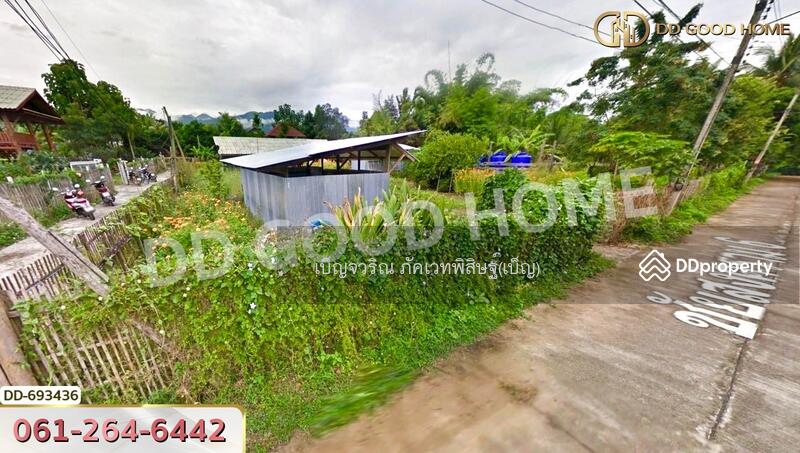 ขาย - ที่ดินปาย 300 ตร.ว. แม่ฮ่องสอน ใกล้ ใกล้สนามบิน อ.ปาย, แม่ฮ่องสอน