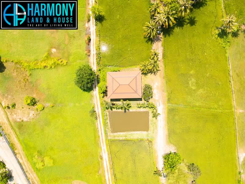 ขายบ้านทรงไทยยกสูง ที่ดิน 8000 ตารางวา, Phetchaburi, Cha-am, Cha-Am, Phetchaburi, 3 Bedrooms, 200 sqm, Single Detached House For Sale, by Aonaurai Kumsing (Annie), 11669609 - DDproperty.com