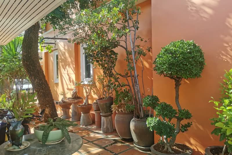 บ้านสวย 2 หลัง บนที่ดิน 2 แปลงติดกัน พร้อมอยู่ ใจกลางเมือง ใกล้สถานีกลางบางซื่อ, กรุงเทพ, บางซื่อ, บางซื่อ, กรุงเทพ, 240 ตร.ม., บ้านเดี่ยว ขาย, โดย BJ บิ๊กจิ๋ว, 11670515 - DDproperty.com