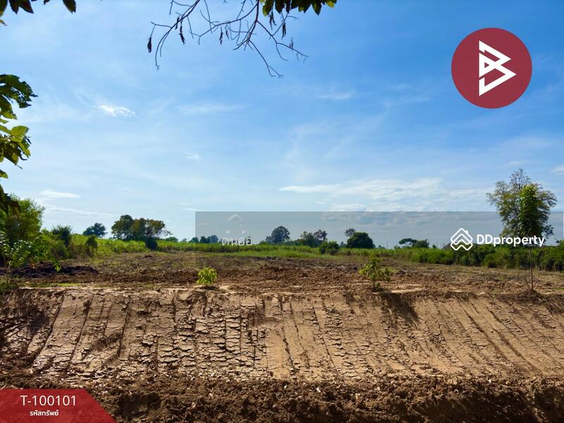 ขาย - บ้านเดี่ยวพร้อมที่ดินบ้านมะเกลือ นครสวรรค์, นครสวรรค์