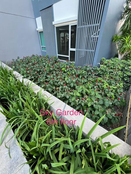 Centric Tiwanon Station, Nonthaburi, 333 Krungthep-Nonthaburi Rd, Bang Khen, Muang Nonthaburi, Nonthaburi, 2 Bedrooms, 67 sqm, Condo For Sale, by Kamolwan, 11671382 - DDproperty.com