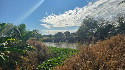 ขาย - ที่ดินริมคลองบ้านใหม่ ใกล้วัดเกาะจันทร์, ฉะเชิงเทรา