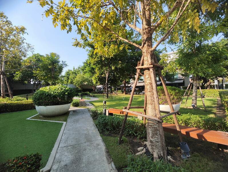 Baan Klang Muang Srinakarin – Onnut : บ้านกลางเมือง ศรีนครินทร์ – อ่อนนุช, กรุงเทพ, 174 ซอย อ่อนนุช 70/1, ประเวศ, กรุงเทพ, 160 ตร.ม., ทาวน์เฮ้าส์ ให้เช่า, โดย The Living Bangkok, 11672315 - DDproperty.com