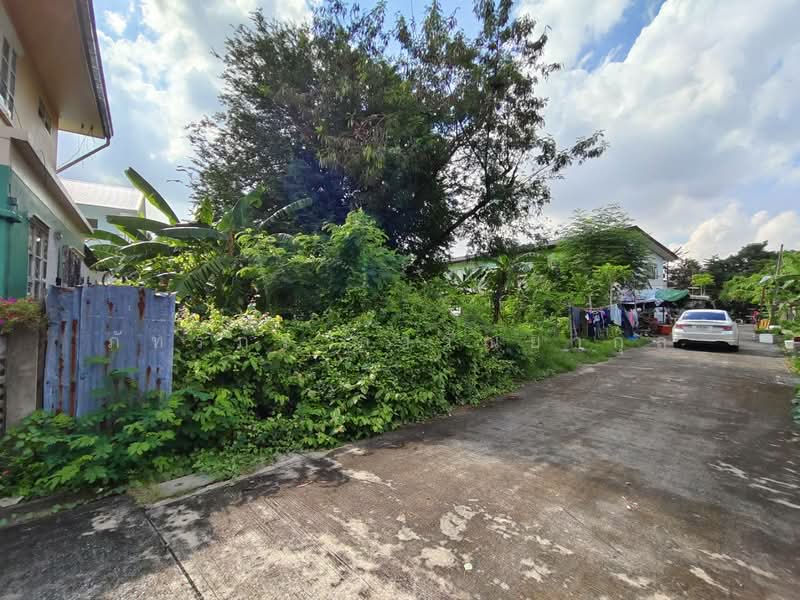 ซอยเลี่ยงเมืองปากเกร็ด 26, Nonthaburi, Pak Kret, Nonthaburi, , 420 sqm, Land For Sale, by ภัทรภร ลาวัณยากุล, 11673474 - DDproperty.com