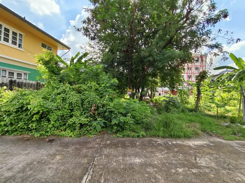 ซอยเลี่ยงเมืองปากเกร็ด 26, Nonthaburi, Pak Kret, Nonthaburi, , 420 sqm, Land For Sale, by ภัทรภร ลาวัณยากุล, 11673474 - DDproperty.com