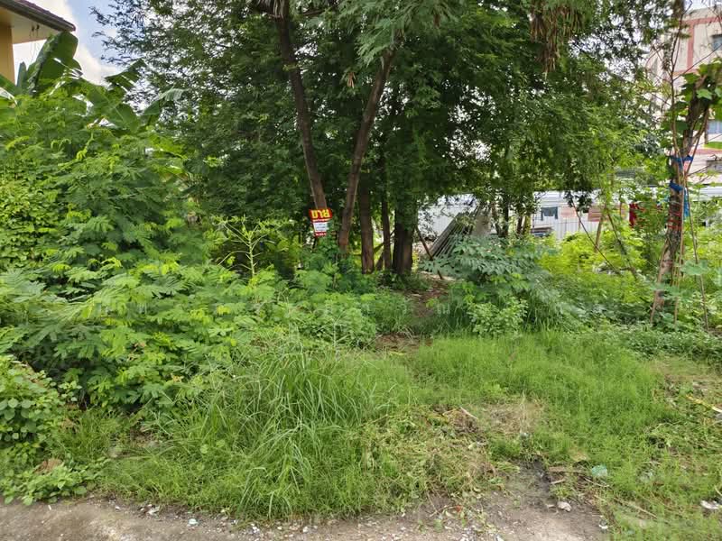 ซอยเลี่ยงเมืองปากเกร็ด 26, Nonthaburi, Pak Kret, Nonthaburi, , 420 sqm, Land For Sale, by ภัทรภร ลาวัณยากุล, 11673474 - DDproperty.com