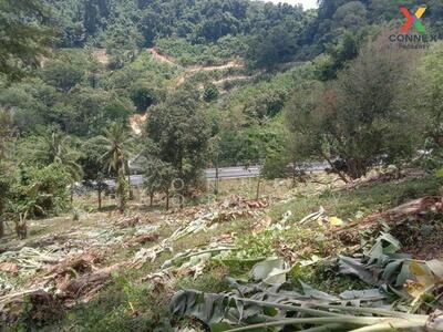 ขาย - Land main road 4018, near Nai Thon beach, 1.6 km. ที่ดิน ติดถนนเมน 4018 ใกล้หาดนายทอน 1.6 กม., ภูเก็ต