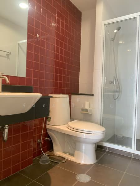 The Link Sukhumvit 50 : เดอะ ลิงค์ สุขุมวิท 50, กรุงเทพ, ซอยสุขุมวิท 50 ถนนสุขุมวิท, พระโขนง, คลองเตย, กรุงเทพ, 66 ตร.ม., คอนโด ให้เช่า, โดย นลินี จันทร์ศิริเจริญ, 11673822 - DDproperty.com