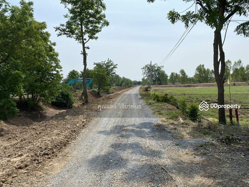 For Sale - Land for sale, Nong Ya Sai District, Suphan Buri Province., Suphan Buri