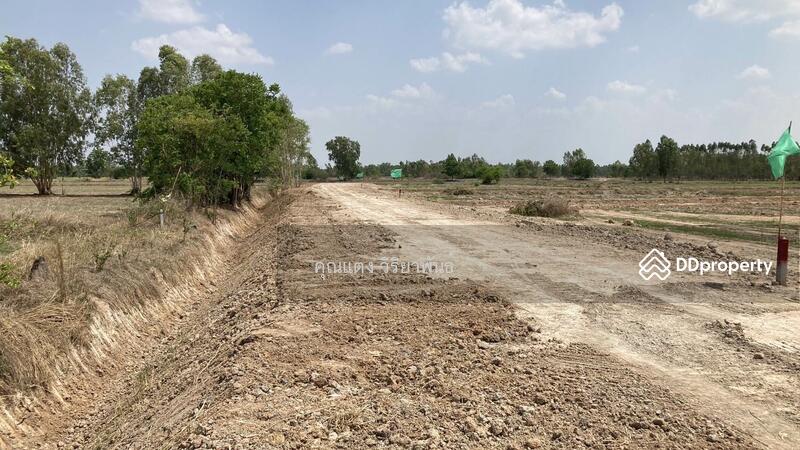 For Sale - Land for sale, Nong Ya Sai District, Suphan Buri Province., Suphan Buri