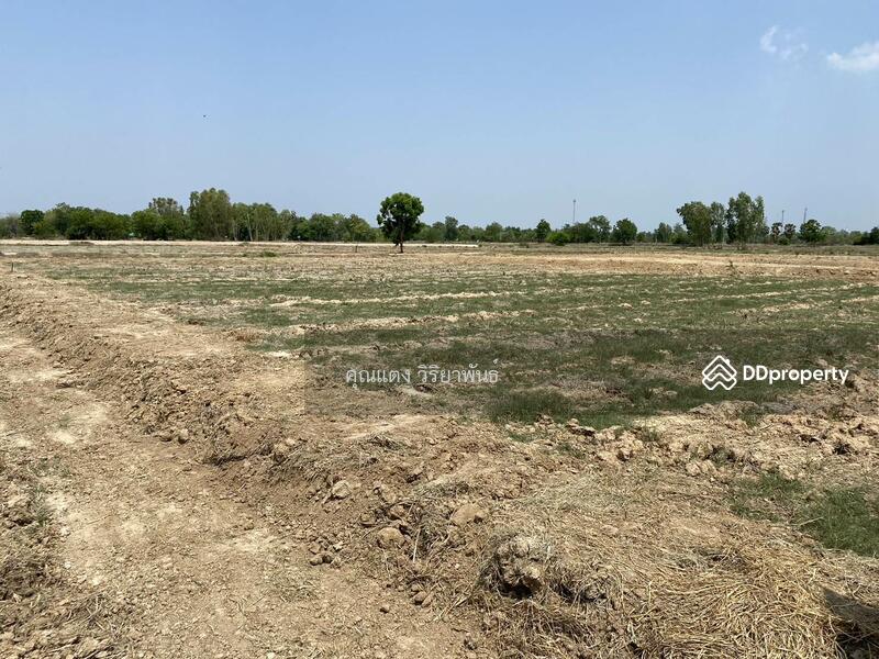 For Sale - Land for sale, Nong Ya Sai District, Suphan Buri Province., Suphan Buri