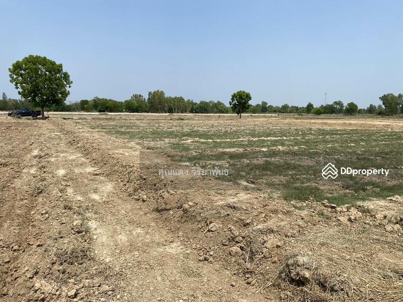 For Sale - Land for sale, Nong Ya Sai District, Suphan Buri Province., Suphan Buri