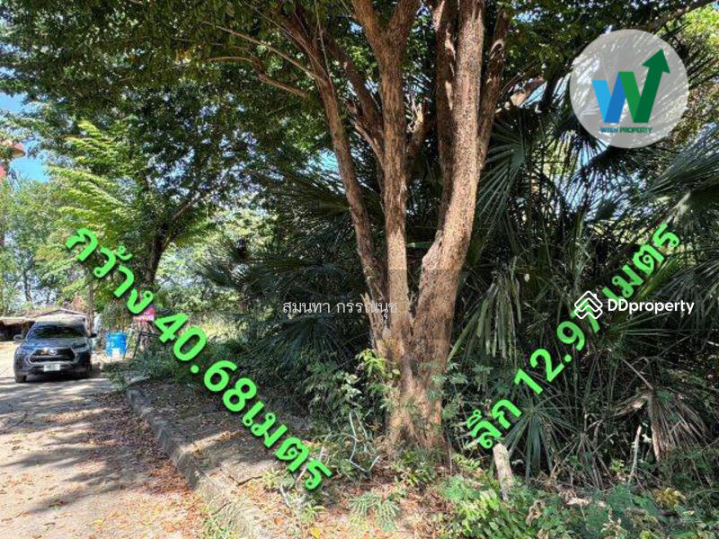 For Sale - Land Green Wood Park Pathum Thani, Pathum Thani
