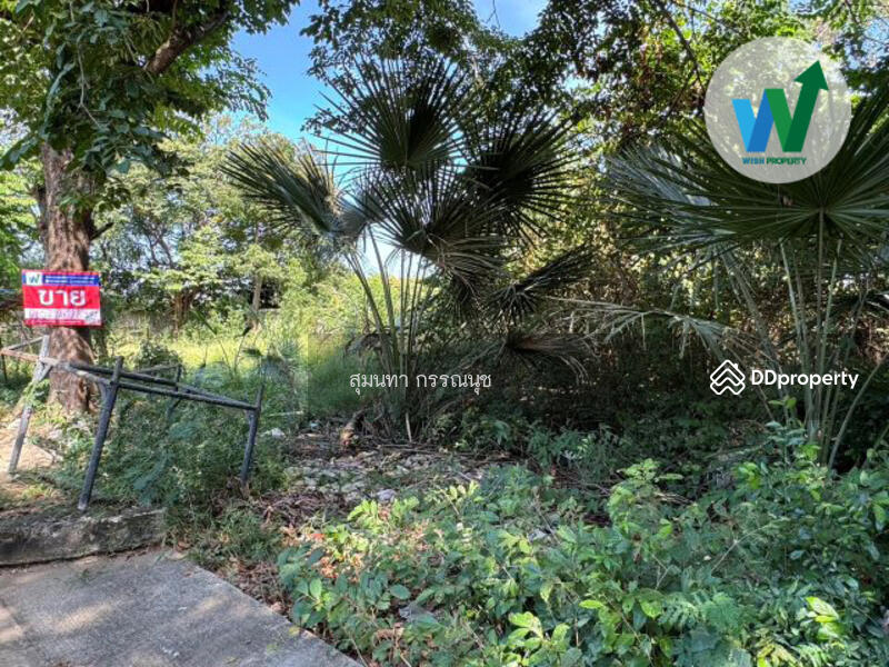 For Sale - Land Green Wood Park Pathum Thani, Pathum Thani