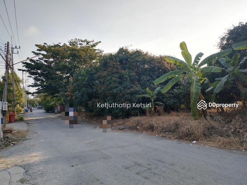 For Sale - Land for Sale, Nakhon Pathom