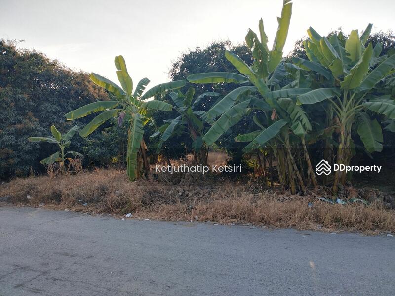 For Sale - Land for Sale, Nakhon Pathom
