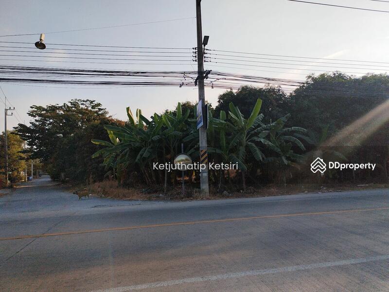 For Sale - Land for Sale, Nakhon Pathom