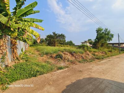 ขาย - ที่ดินหนองจอก แปลงสวย 400 ตร.วา เลียบวารี75, กรุงเทพ
