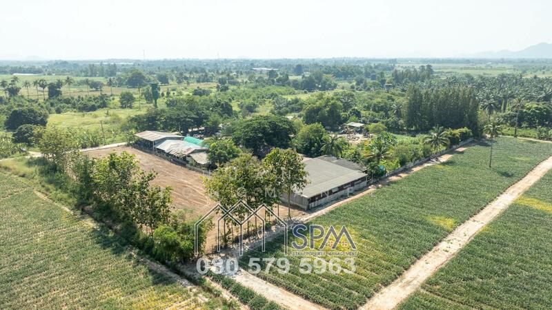 Hinlekfai area 2 Rai of land for sale, price 1 Million Baht per Rai, Prachuap Khiri Khan, Hin Lek Fai, Hua Hin, Prachuap Khiri Khan, , 3,200 sqm, Land For Sale, by Chuanpit Tongmanee, 11679217 - DDproperty.com