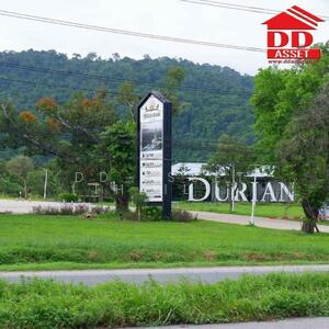 ขาย - ขายที่ดินพร้อมสวนผลไม้ อำเภอมะขาม จันทบุรี ห่างจากถนนเสนหลัก จันทบุรี-สระแก้ว เพียง 900 เมตร, จันทบุรี