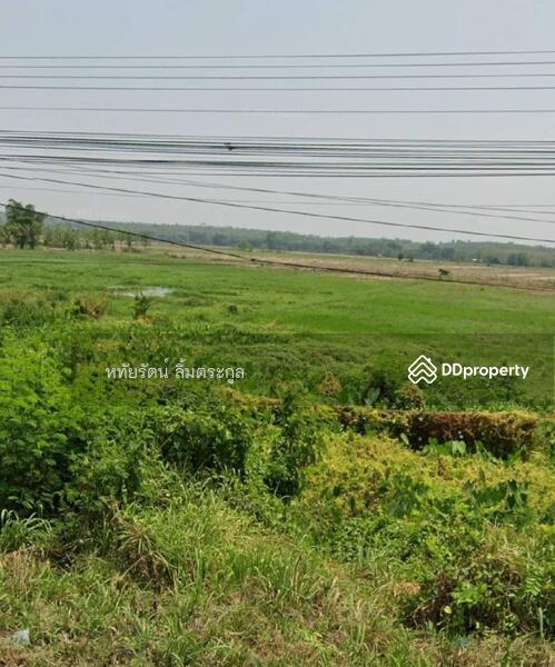 For Sale - Land for Sale: 4-1-49 Rai by Main Road, Mueang Phayao District, Phayao