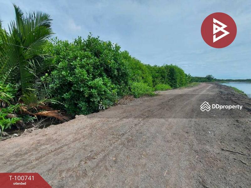 ขาย - ที่ดินแหลมใหญ่ สมุทรสงคราม, สมุทรสงคราม