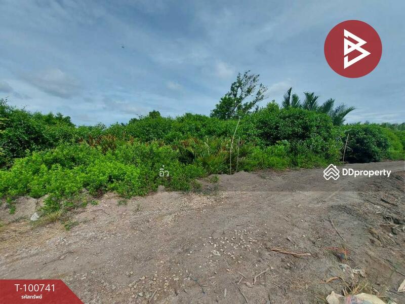 ขาย - ที่ดินแหลมใหญ่ สมุทรสงคราม, สมุทรสงคราม