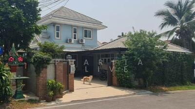 ขาย - ต.หนองหาร อ.สันทราย จ.เชียงใหม่, เชียงใหม่