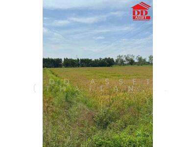 ขาย - ขายที่ดินเปล่า อำเภอ หนองแค สระบุรี ที่ดินติดถนน ห่างจากโรงพยาบาลหนองแค 12 กิโลเมตร รหัส : L8029, สระบุรี