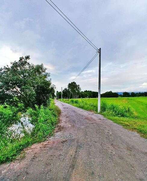 For Sale - คุ้มมาก วิวเขา 200ตรว. น้ำไฟพร้อม ใกล้กรุงฯ บ้านนา นครนายก 086-301-6161, Nakhon Nayok