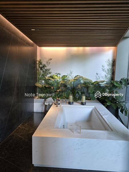 Option To Buy - Mulberry Grove The Forestias Condo, Samut Prakan