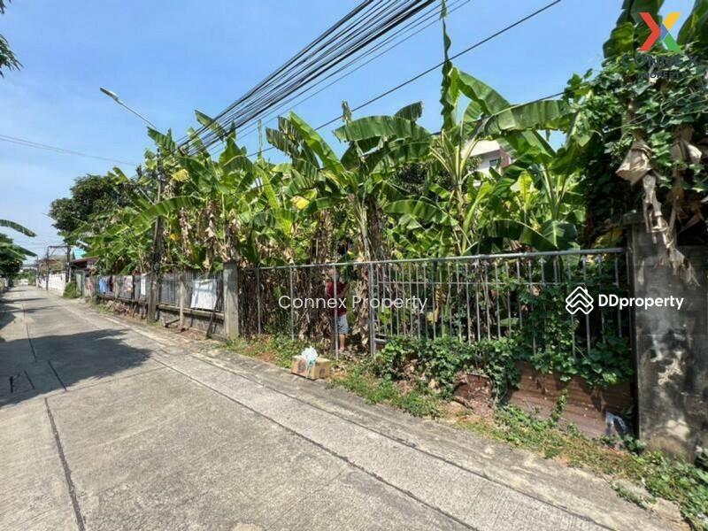 ขาย - Land Bang Sri Mueang 49 Nonthaburi ที่ดินเปล่า บางศรีเมือง 49 นนทบุรี, นนทบุรี