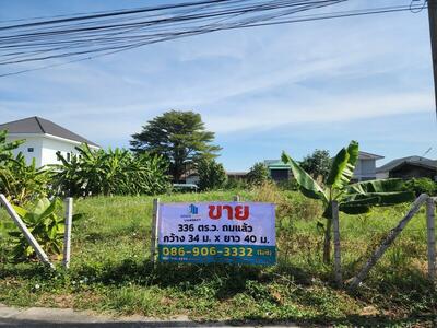 ขาย - ขายที่ดินถมแล้ว ล้อมรั้วรอบ ทำการเกษตร 336 ตร.ว. ลำลูกกา ปทุมธานี, ปทุมธานี