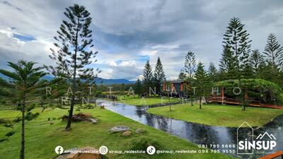 ขาย - ที่ดินคลองม่วง ปากช่อง เขาใหญ่ นครราชสีมา, นครราชสีมา